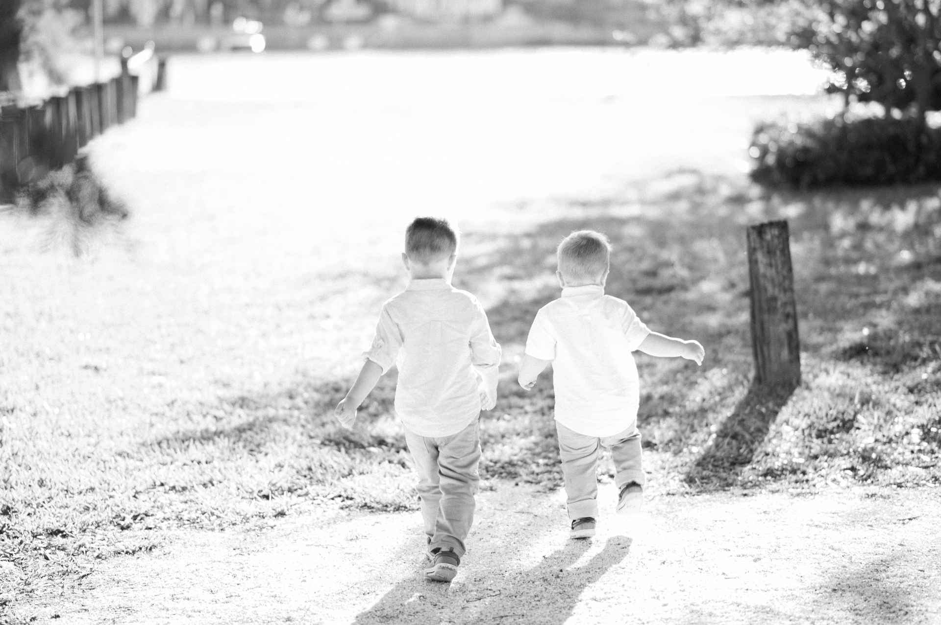A black-and-white photo of two young brothers walking away together down a sunlit garden path